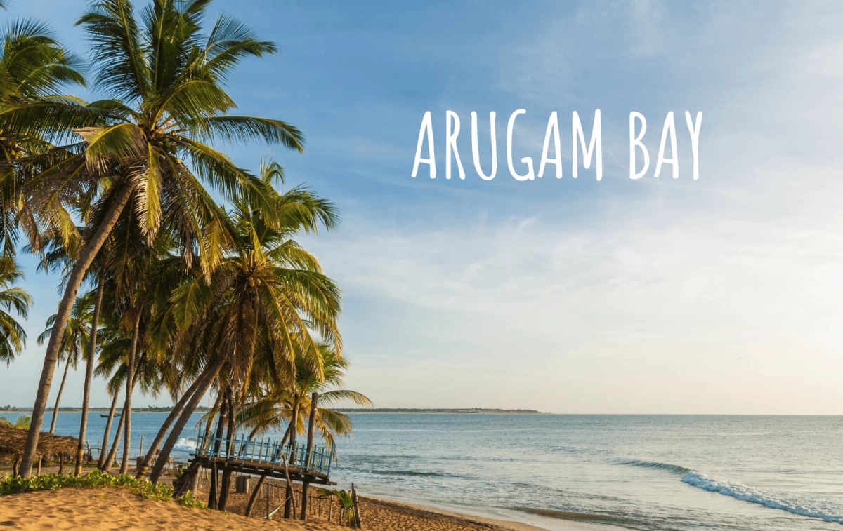 Arugam Bay