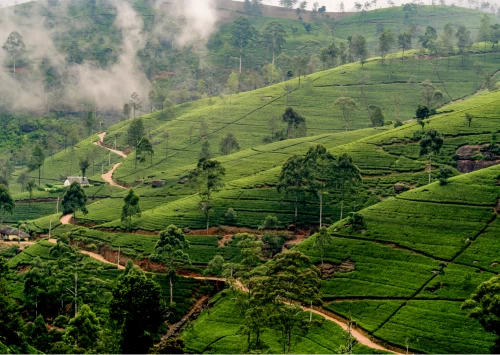 Sri Lanka