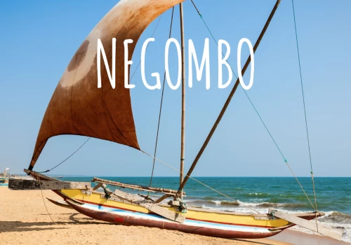 Negombo : La première étape d'un voyage au Sri Lanka