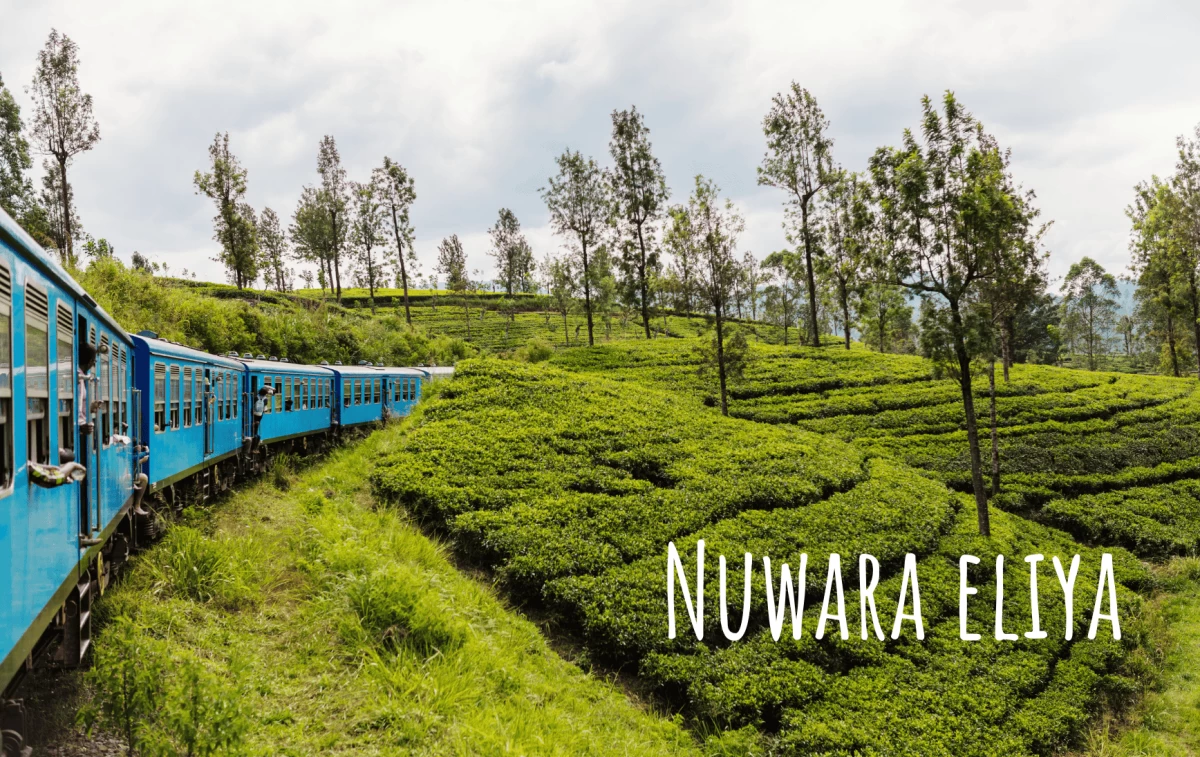 Nuwara Eliya